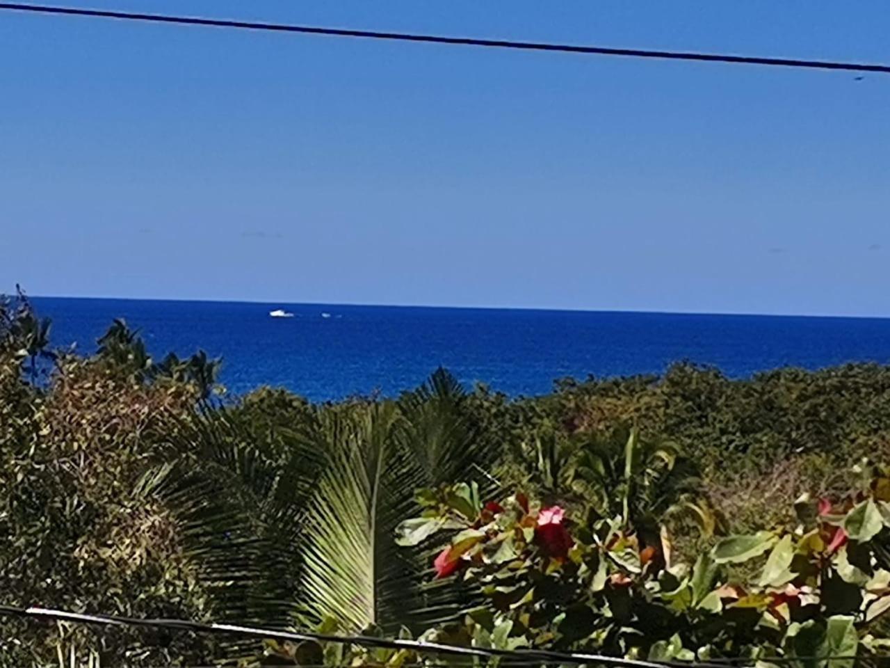 Hotel Quinta Mar Y Selva Chacala  Bagian luar foto